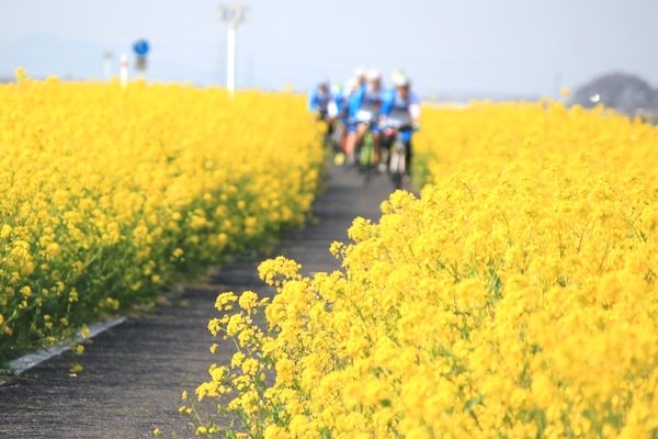 ホダカ株式会社のイベントイメージ